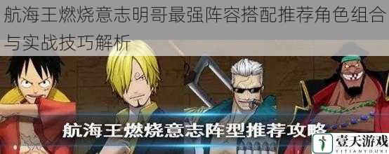 航海王燃烧意志明哥最强阵容搭配推荐角色组合与实战技巧解析