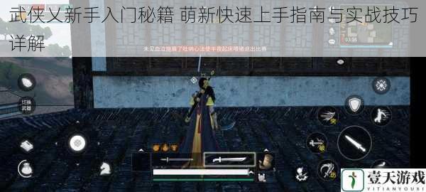 武侠乂新手入门秘籍 萌新快速上手指南与实战技巧详解