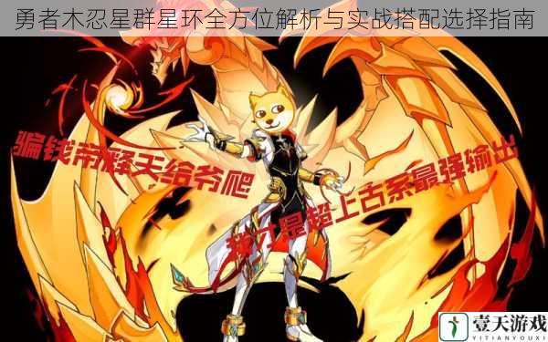 勇者木忍星群星环全方位解析与实战搭配选择指南