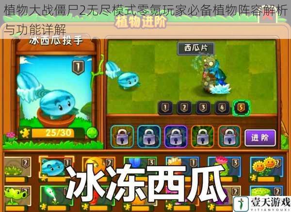植物大战僵尸2无尽模式零氪玩家必备植物阵容解析与功能详解