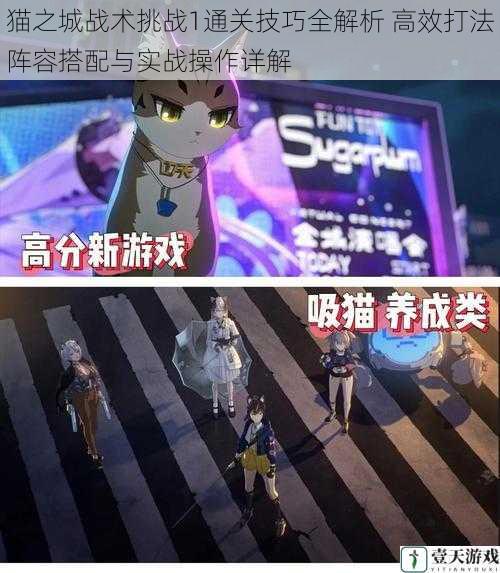 猫之城战术挑战1通关技巧全解析 高效打法阵容搭配与实战操作详解