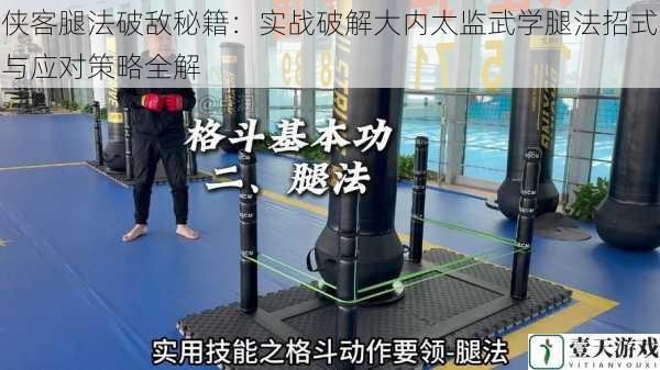 侠客腿法破敌秘籍:实战破解大内太监武学腿法招式与应对策略全解