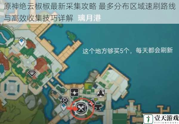 原神绝云椒椒最新采集攻略 最多分布区域速刷路线与高效收集技巧详解