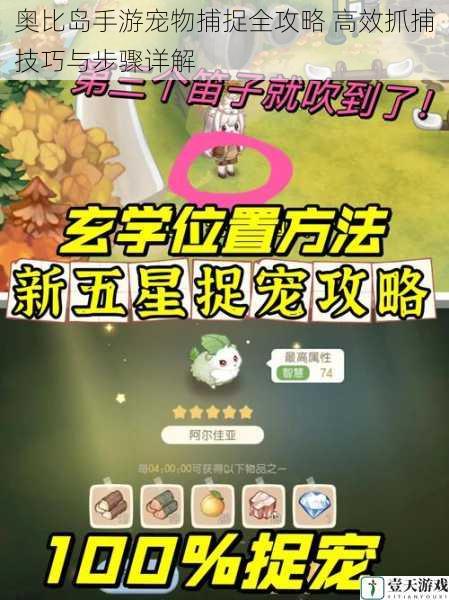奥比岛手游宠物捕捉全攻略 高效抓捕技巧与步骤详解