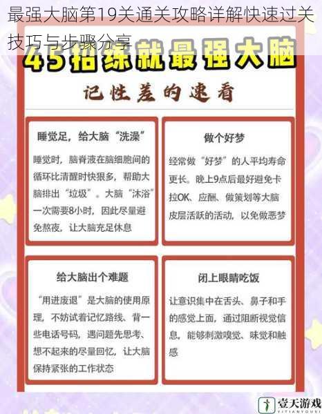 最强大脑第19关通关攻略详解快速过关技巧与步骤分享
