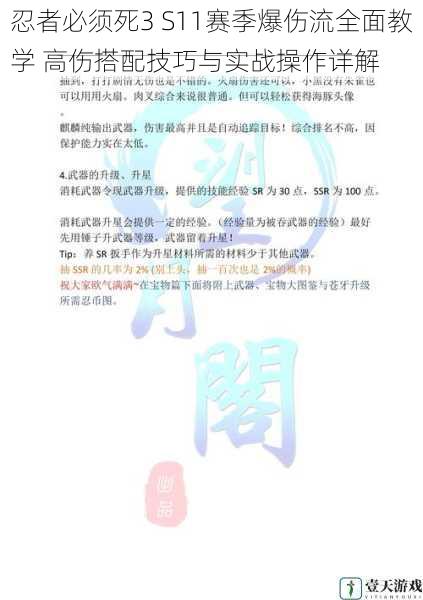 忍者必须死3 S11赛季爆伤流全面教学 高伤搭配技巧与实战操作详解