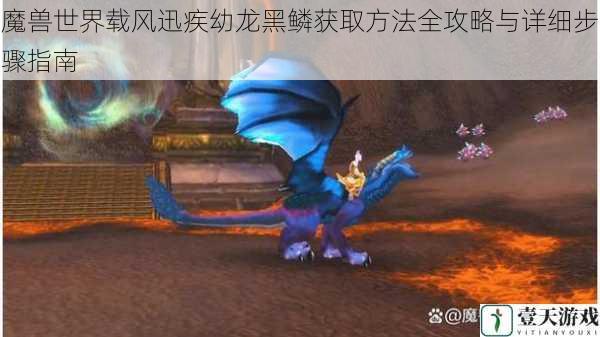 魔兽世界载风迅疾幼龙黑鳞获取方法全攻略与详细步骤指南