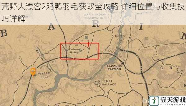 荒野大镖客2鸡鸭羽毛获取全攻略 详细位置与收集技巧详解