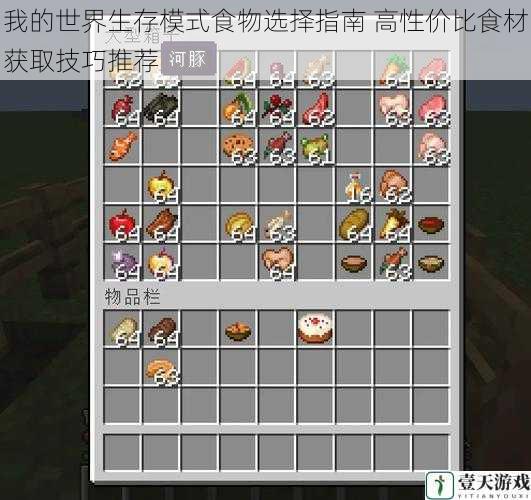 我的世界生存模式食物选择指南 高性价比食材获取技巧推荐