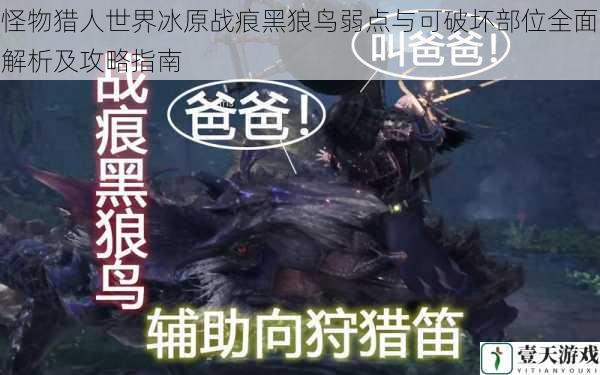 怪物猎人世界冰原战痕黑狼鸟弱点与可破坏部位全面解析及攻略指南