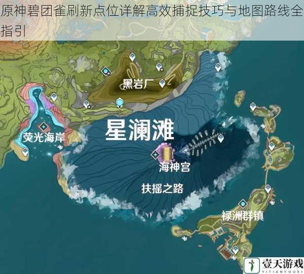原神碧团雀刷新点位详解高效捕捉技巧与地图路线全指引