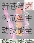 新苍穹之剑武圣主动技能全解技能效果详解与实战应用指南必看