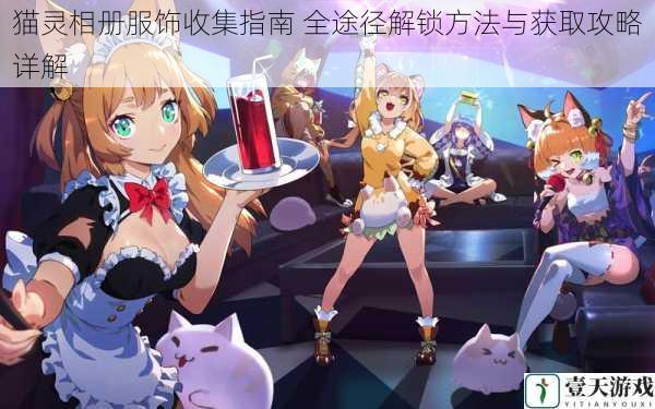 猫灵相册服饰收集指南 全途径解锁方法与获取攻略详解