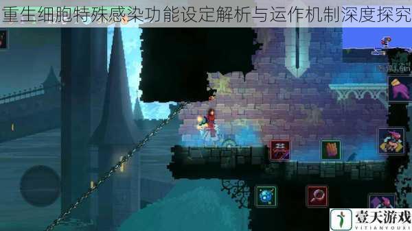 重生细胞特殊感染功能设定解析与运作机制深度探究