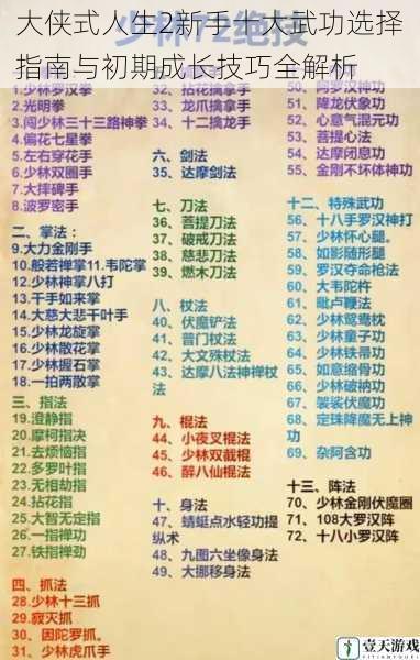 大侠式人生2新手十大武功选择指南与初期成长技巧全解析
