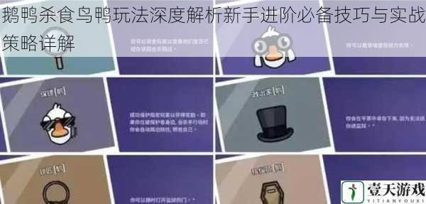 鹅鸭杀食鸟鸭玩法深度解析新手进阶必备技巧与实战策略详解